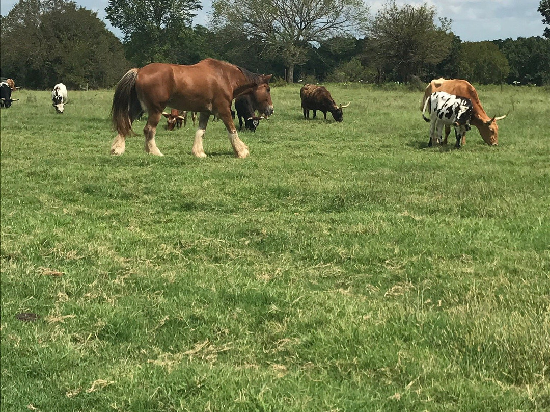 Pawnee Bill's Ranch, Museum and Wild West Show-Pawnee必去景点