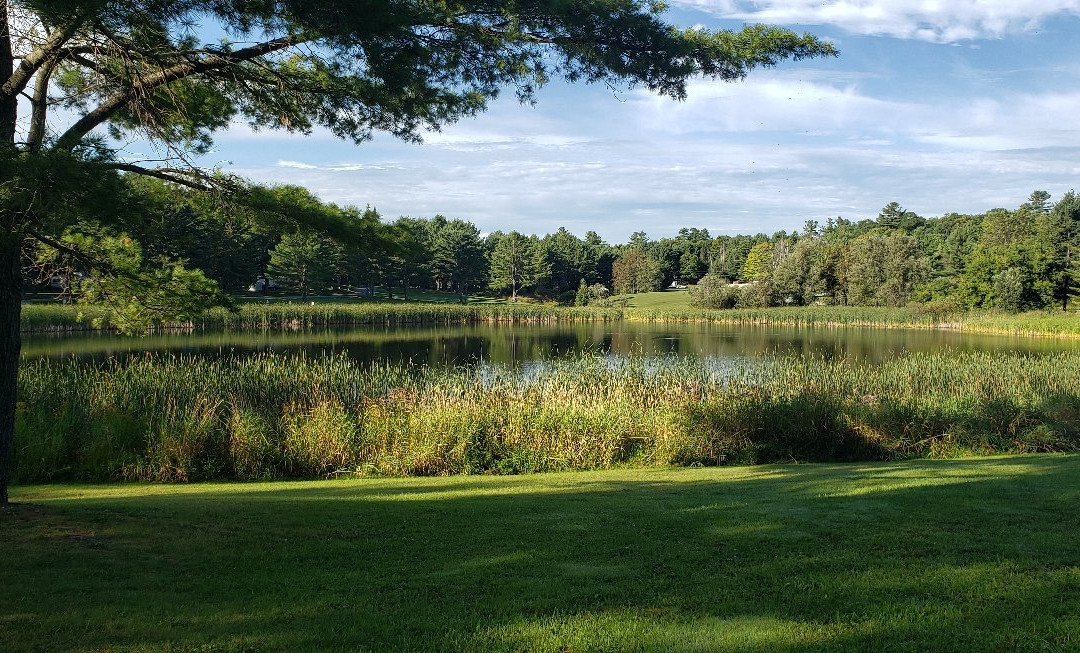 Camping Cantley