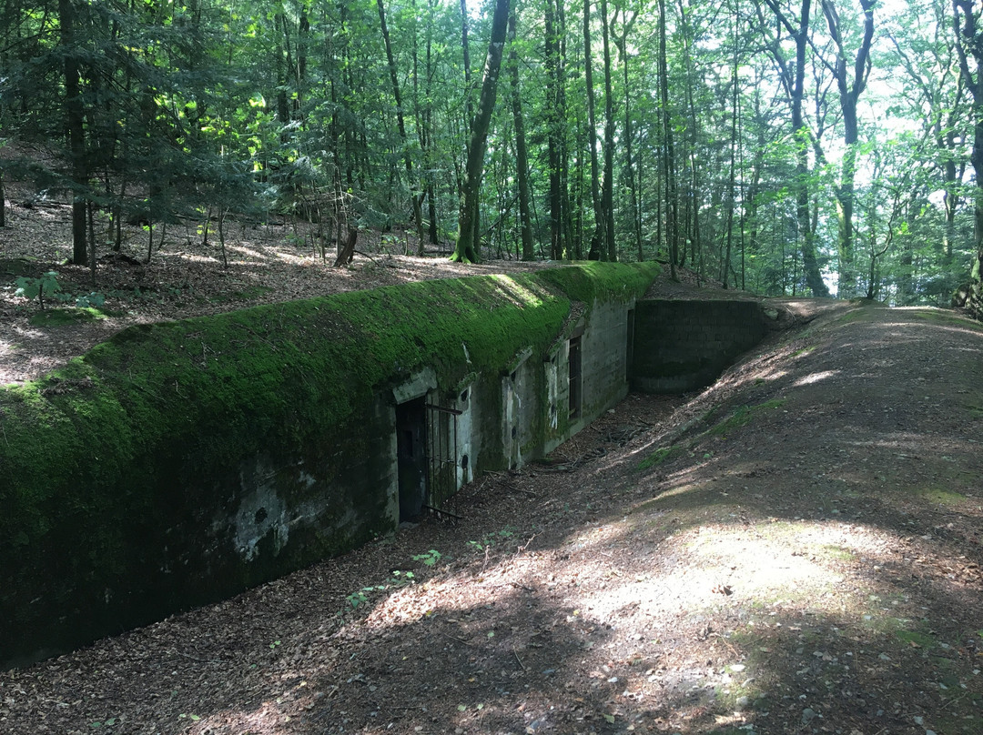 Silkeborg Bunker Museum景点图片