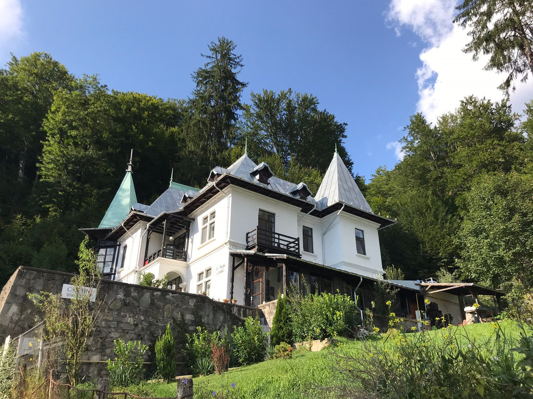 IL Piccolo Castello Busteni