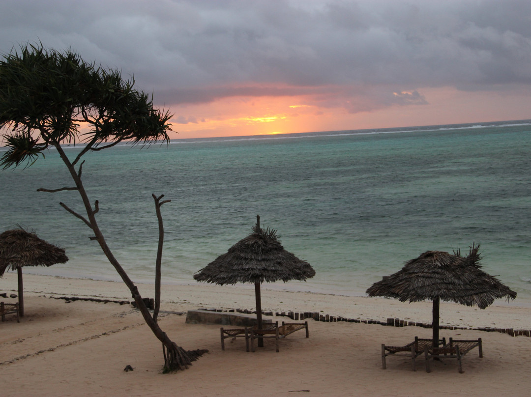 Nest Style Beach Hotel Zanzibar主图