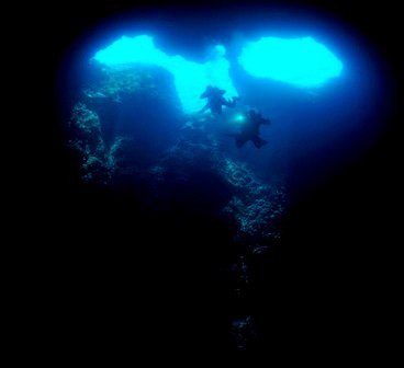 Amber Dive Center景点图片