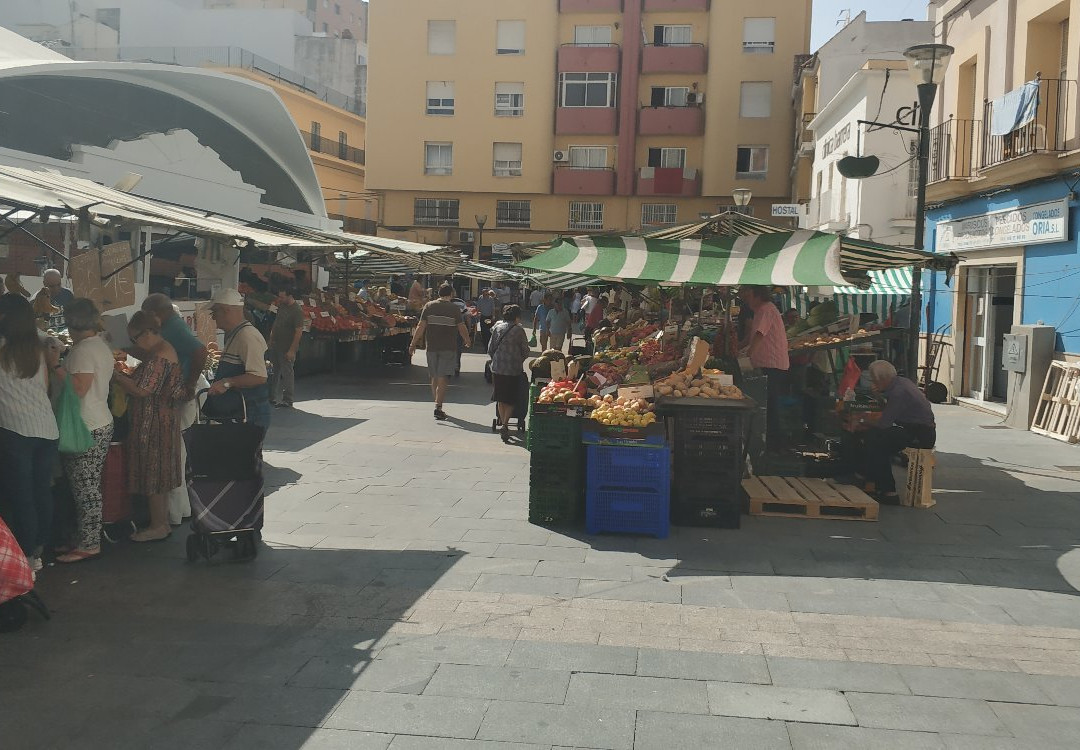 Mercado Ingeniero Torroja景点图片