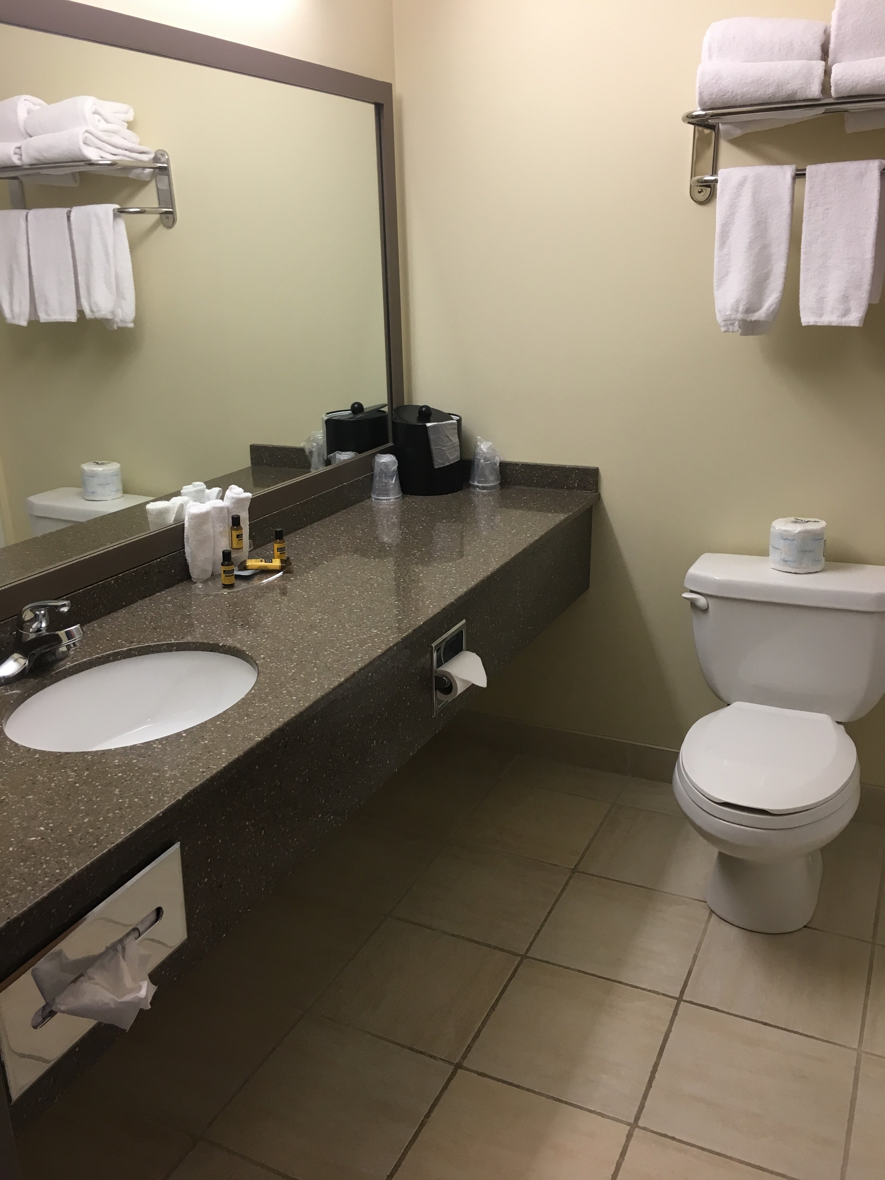 Best Western Plus Woodstock Hotel & Conference Centre-浴室