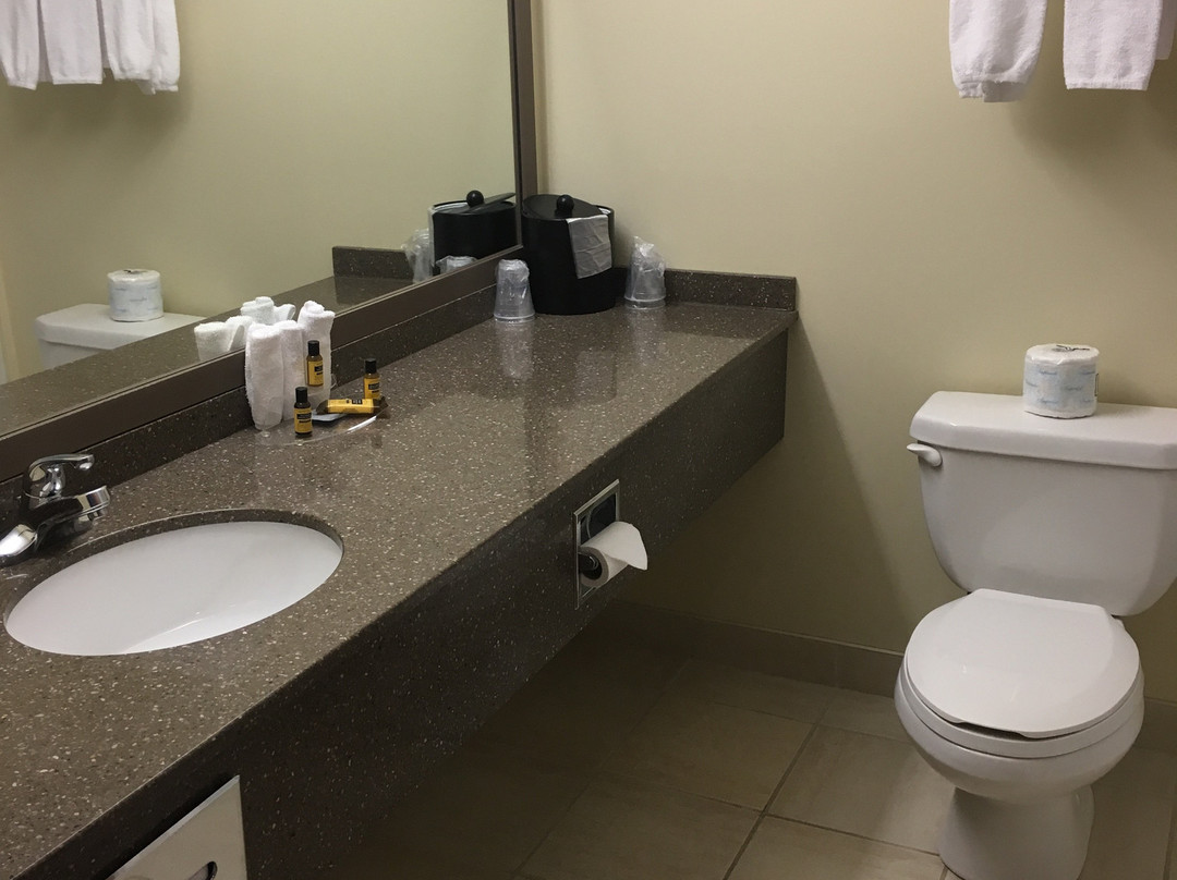 Best Western Plus Woodstock Hotel & Conference Centre主图