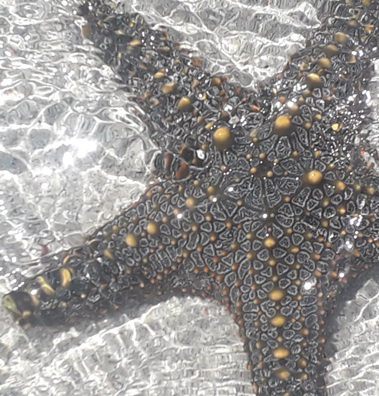 Tripskenya-瓦塔木必去景点