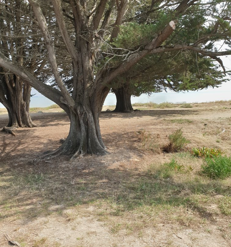 Oleron Crosieres景点图片