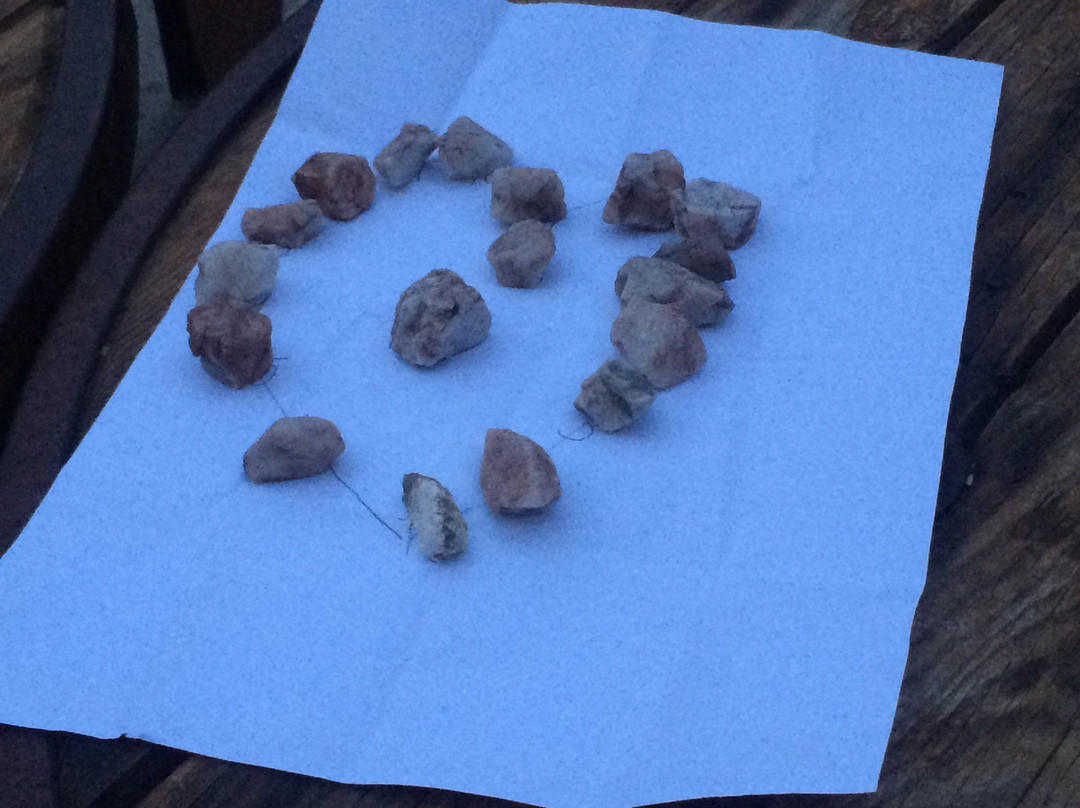 Villecomtal旅游攻略图片