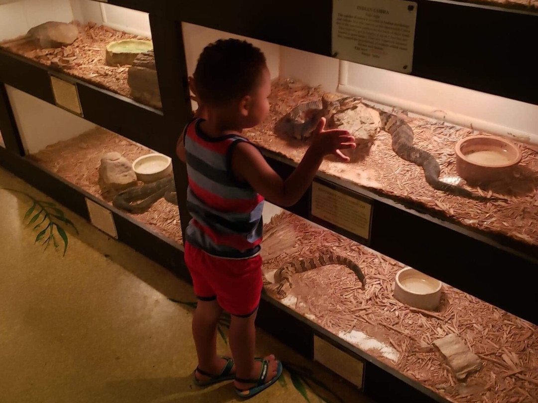 Luray Zoo - A Rescue Zoo-卢雷必去景点