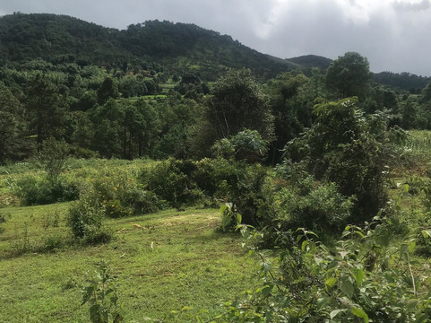 Yu Mon & Phyo's Trekking-格劳必去景点