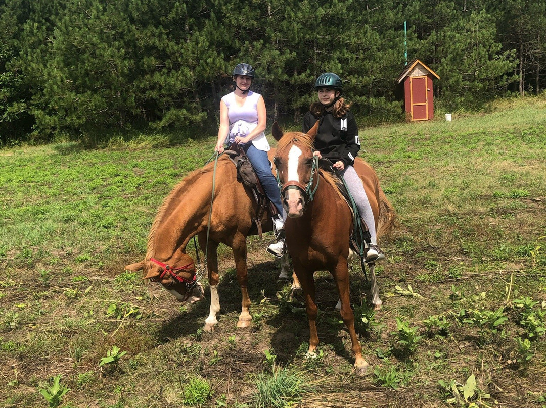 Horsin Around Riding Ranch景点图片