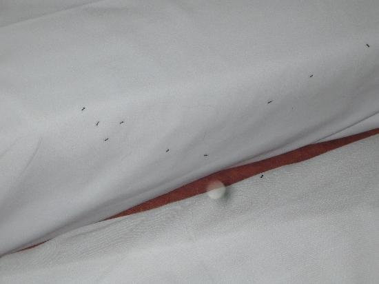 Residencial Almir主图