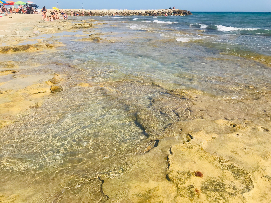 Spiaggia San Cataldo景点图片