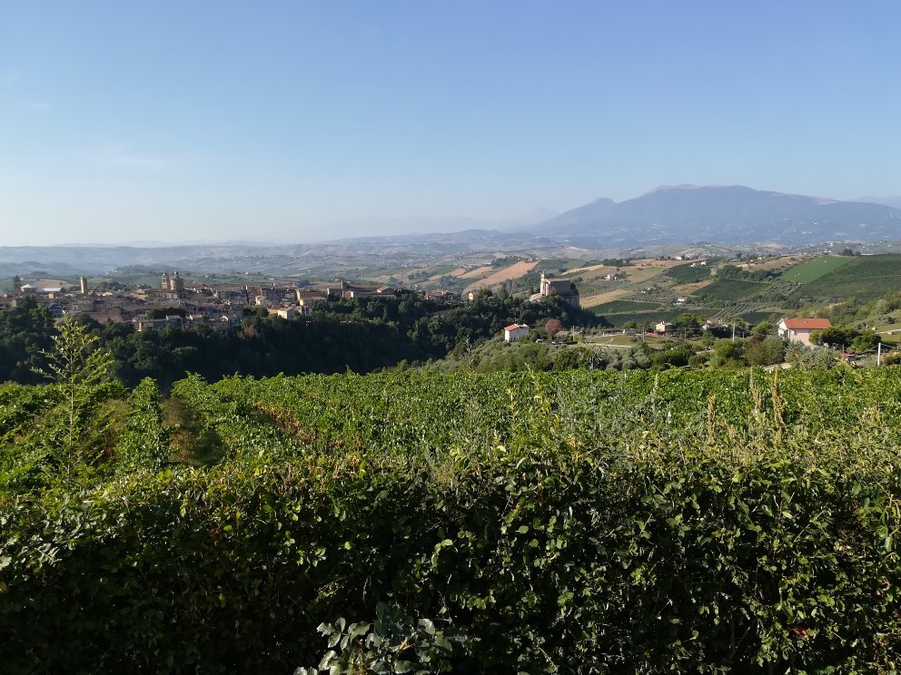 Agriturismo Casa Rosa-官方