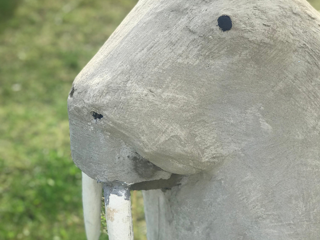 Samúel Jónsson's Art Farm景点图片