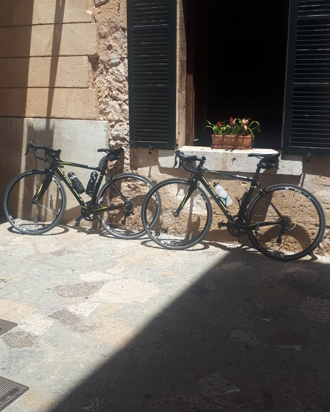 Mallorca Bike Hire景点图片