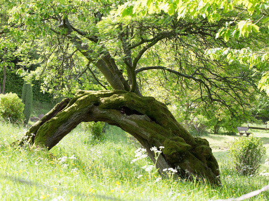 Seminarhaus Fohlenweide主图