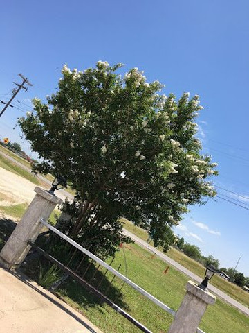 Americas Best Value Inn Baird主图