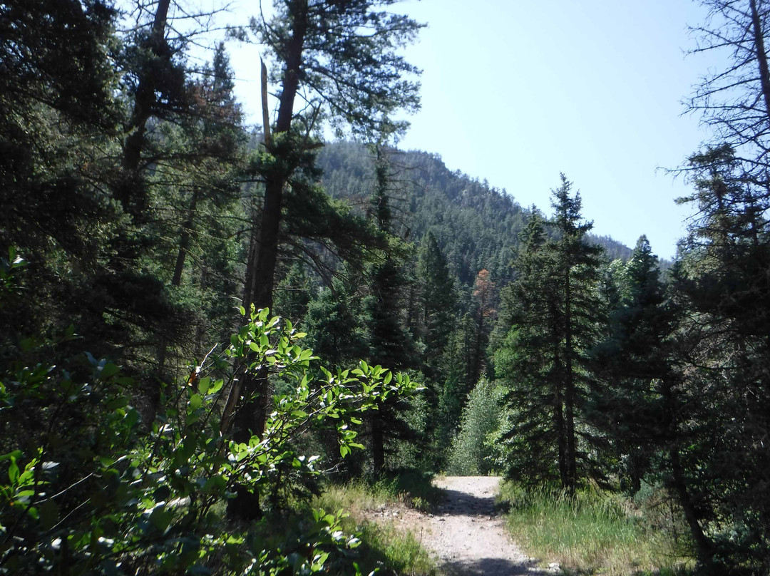 Columbine Trail景点图片