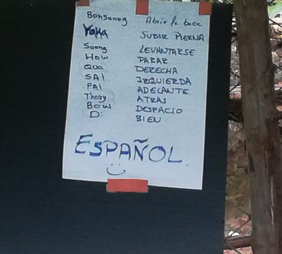 Woody Elephant Sanctuary-夜登必去景点