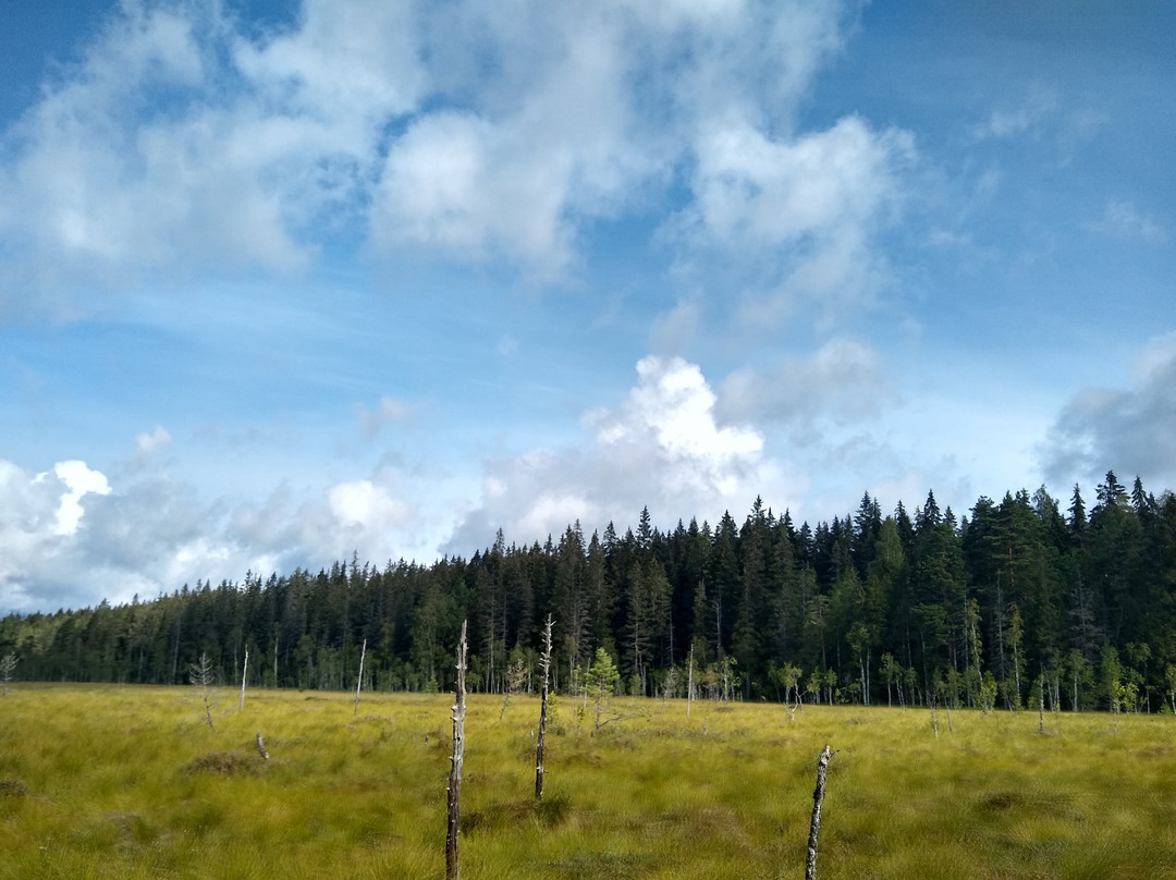 Kurjenrahka National Park-Poytya必去景点