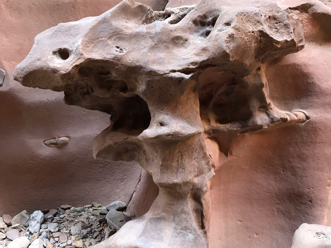 Little Wild Horse and Bell Canyon Trail-格林河必去景点