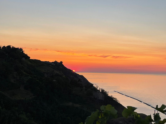 Fattoria Mancini-佩萨罗必去景点