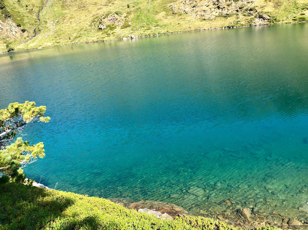 Pirineo de Lleida景点图片