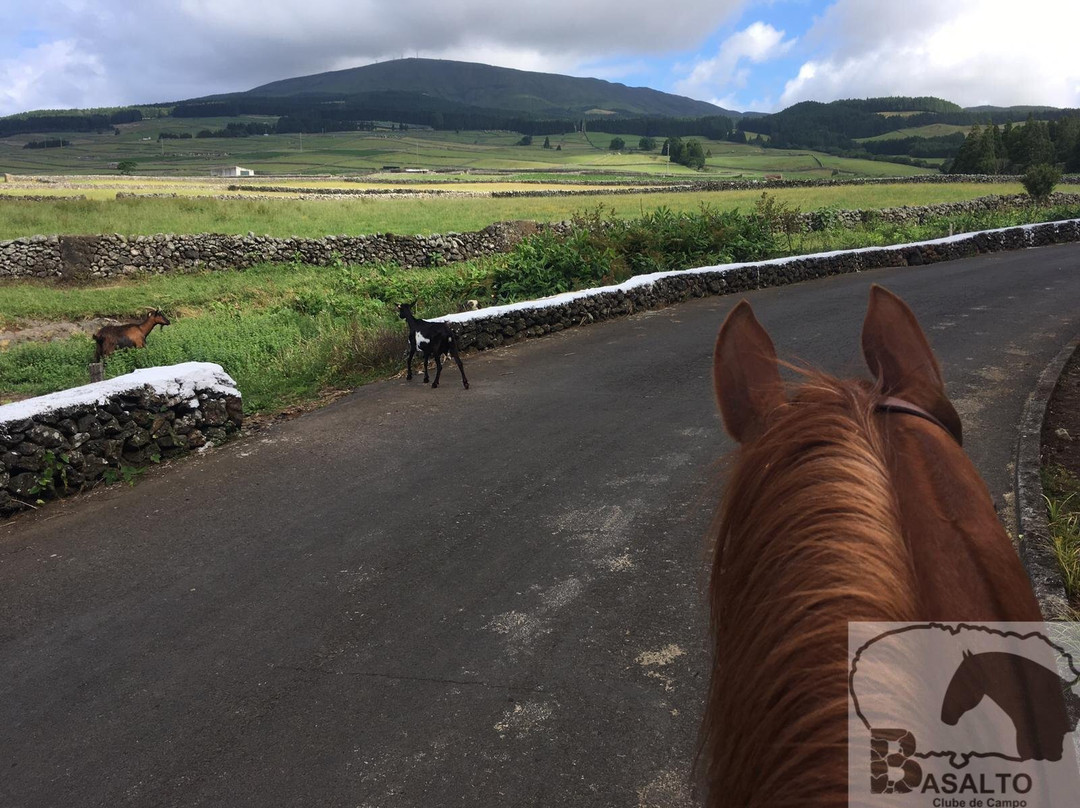 Basalto Horse Experience-亚速尔群岛英雄港中心区必去景点