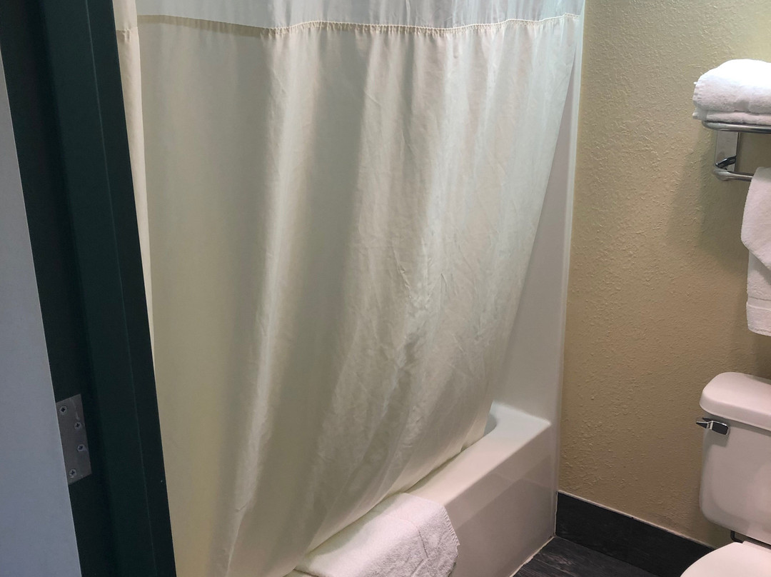 Quality Inn & Suites主图