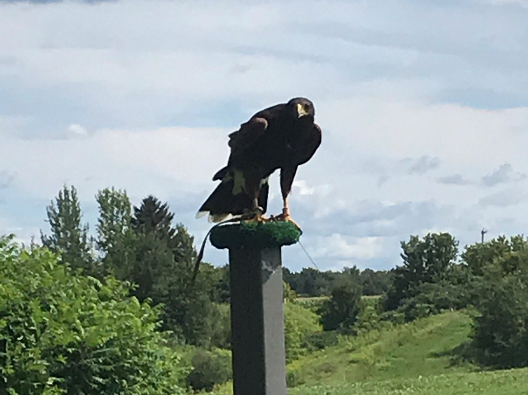 Chouette a voir!-Saint-Jude必去景点