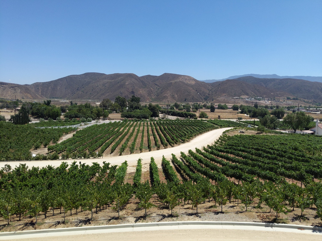 Fazeli Cellars Winery-特曼库拉必去景点