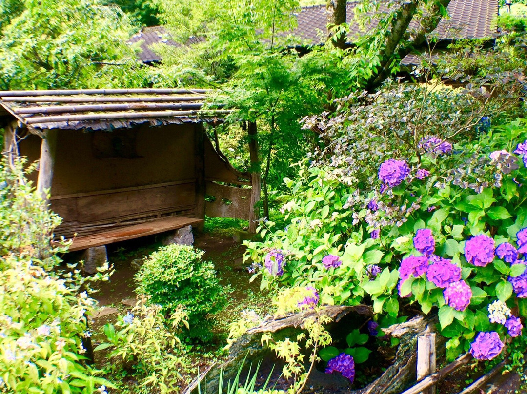 Shinonome no Sato-出水市必去景点
