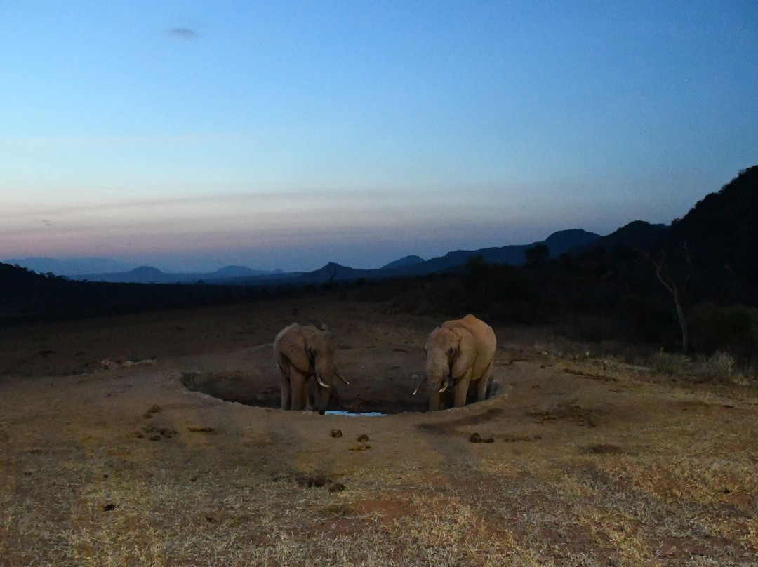 Ngulia Safari Lodge主图