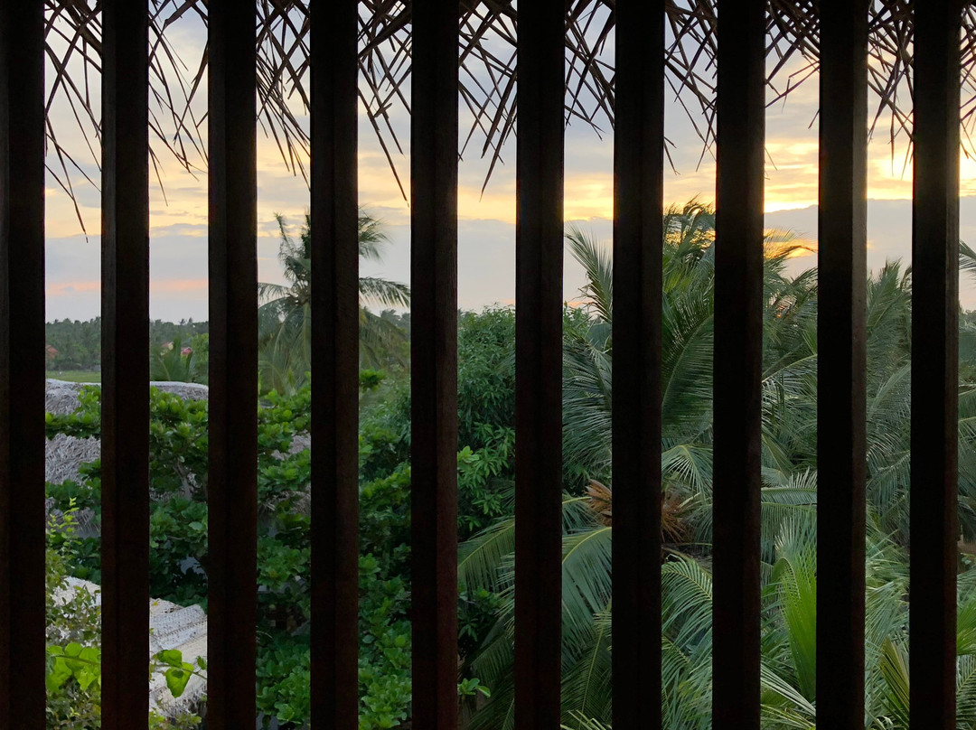 East Surf Cabanas主图