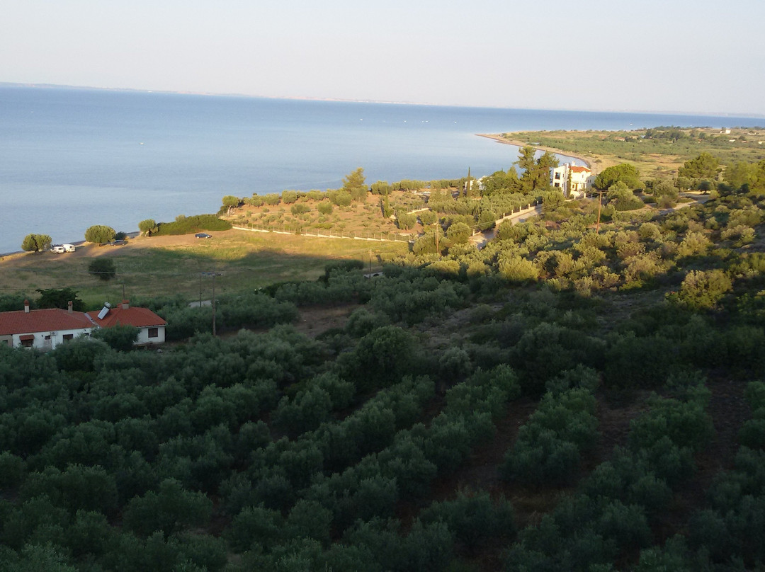 Bianco Olympico Beach Resort主图