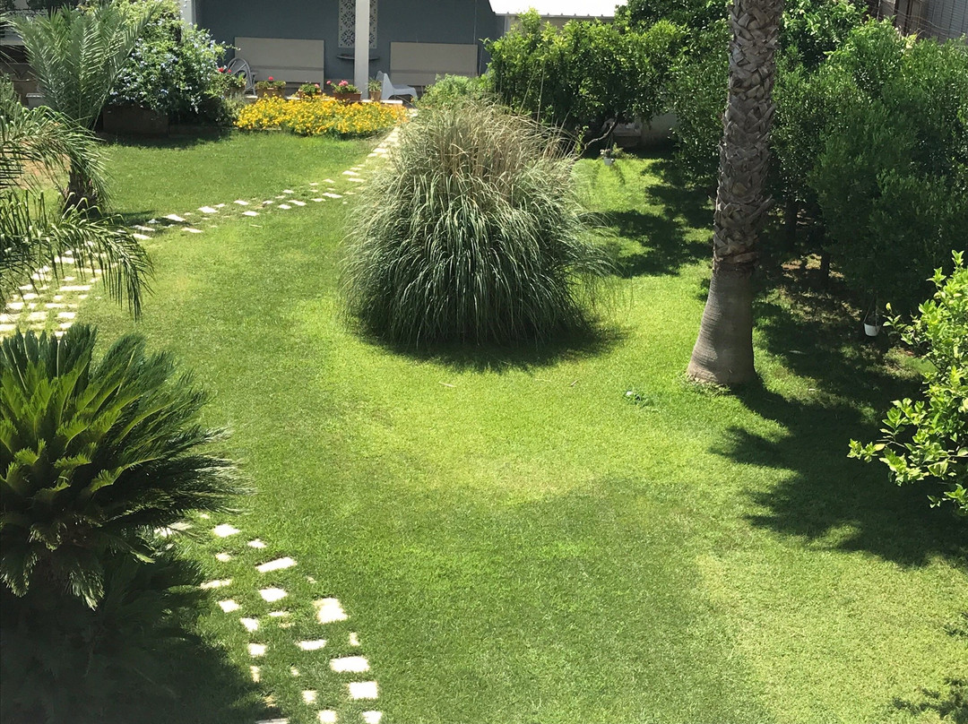 Alma Terra Salento B&B主图