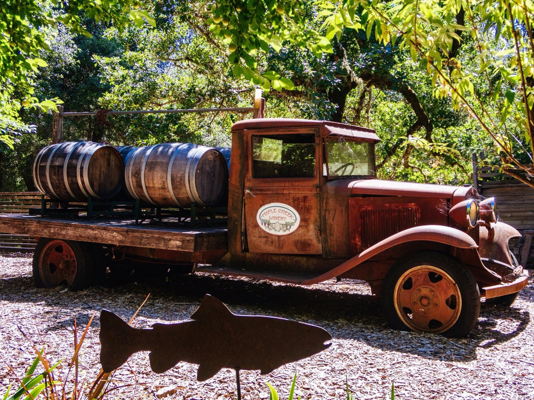 Artevino by Maple Creek Winery景点图片