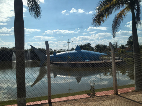 Parque Do Tubarao