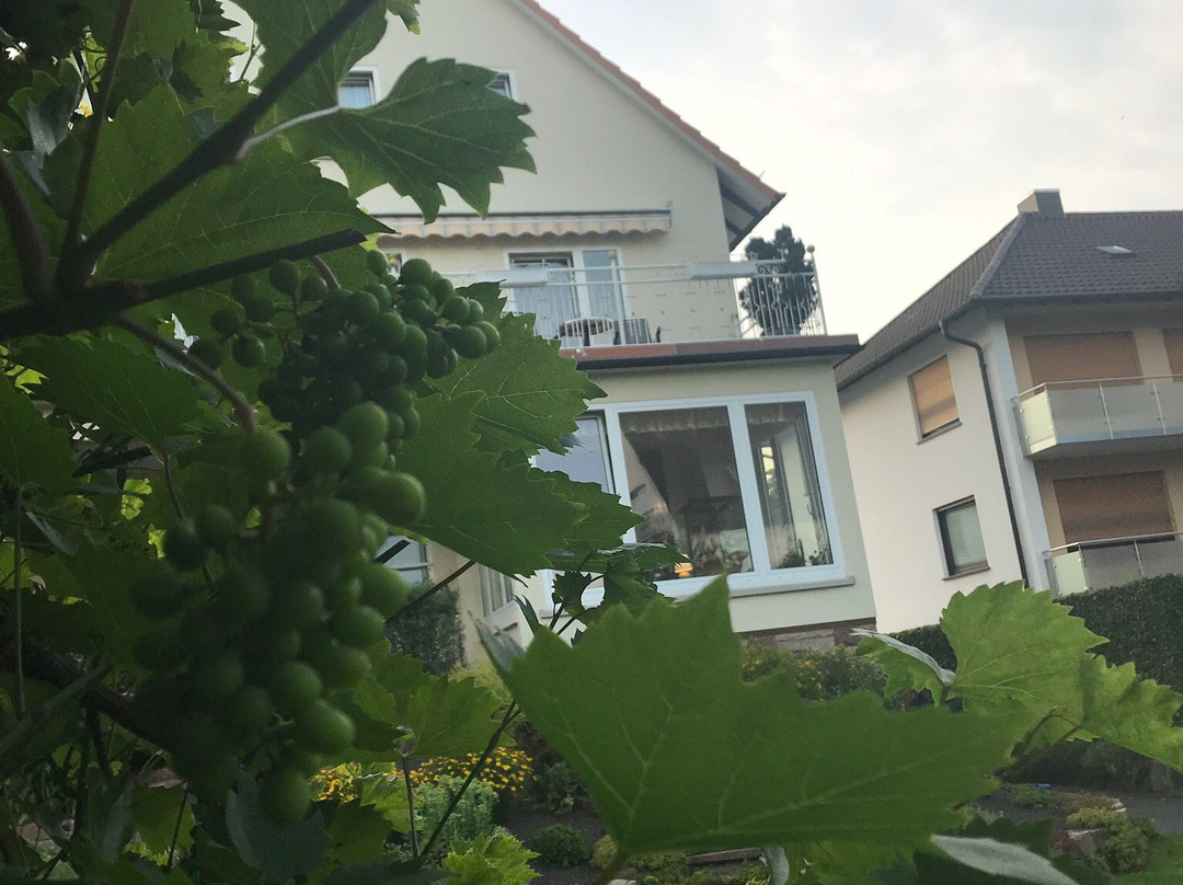 赫希赫尔酒店主图