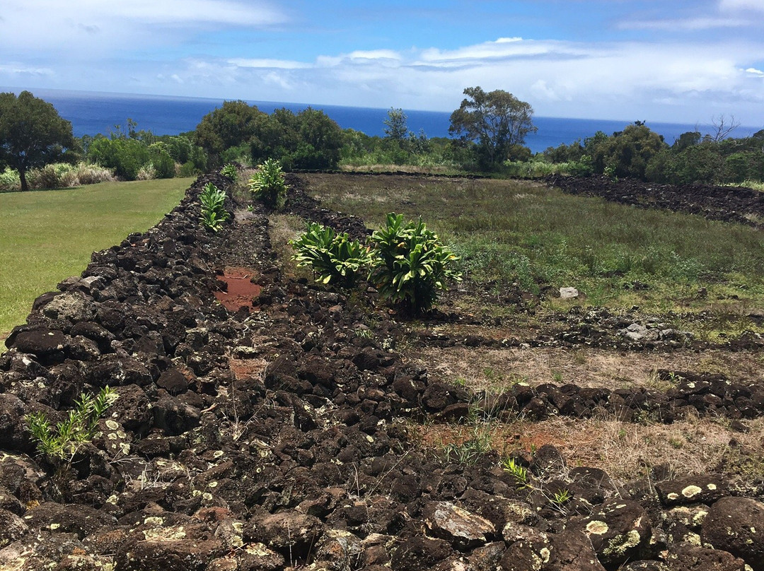 Pu’u O Mahuka Heiau State Monument-Pupukea必去景点