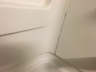 Best Western Plus Wilmington/wrightsville Beach主图