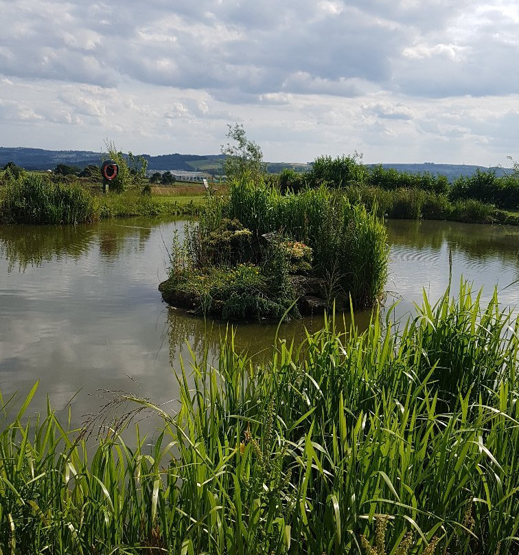 Foxholes Lake景点图片