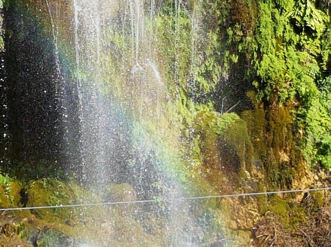 Cascades du Saut du Loup景点图片