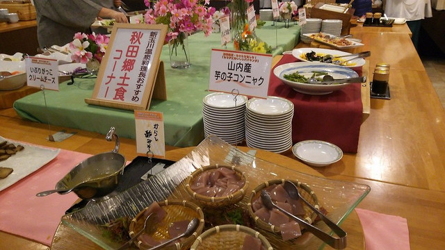 Shintamagawa Onsen主图