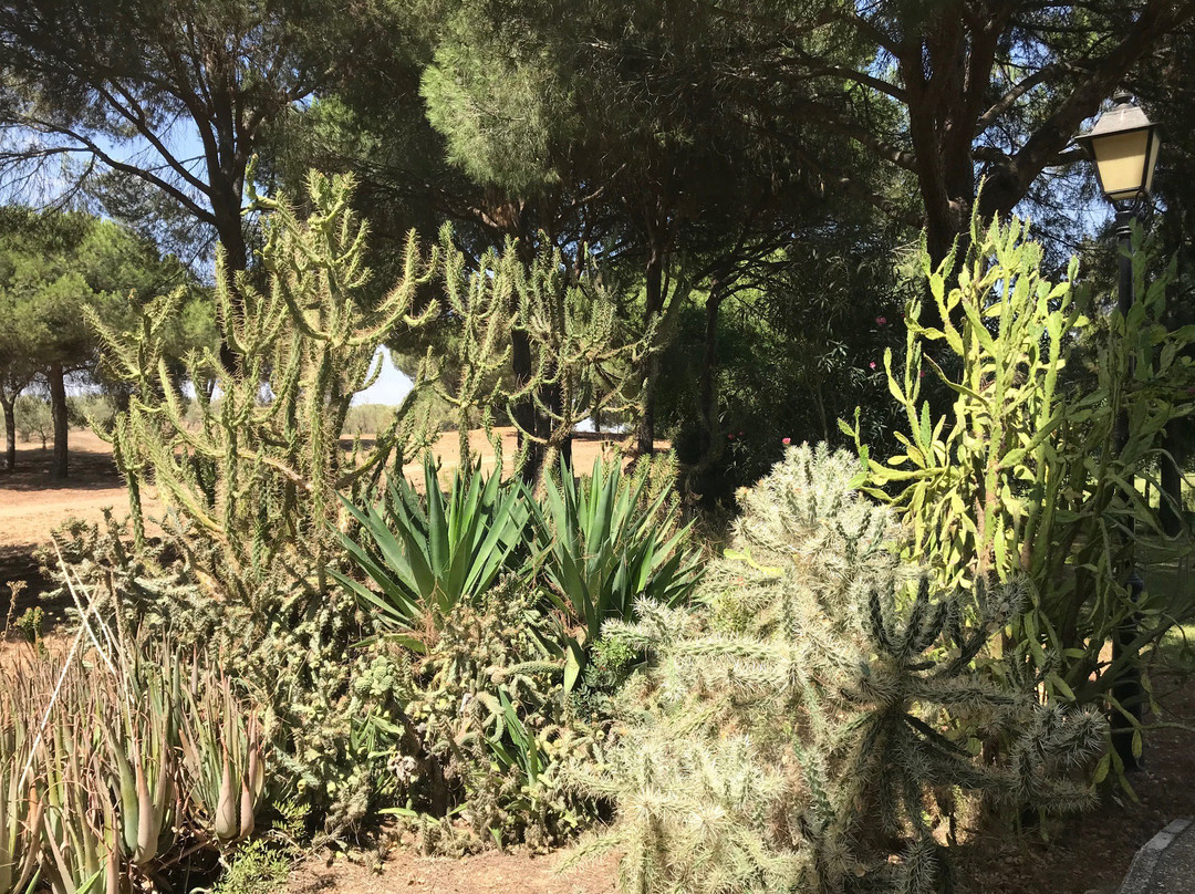 Almensilla酒店住宿-Hacienda Las Tres Niñas