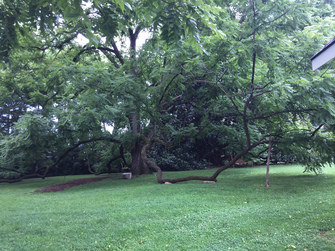 Mountain Magnolia Inn主图