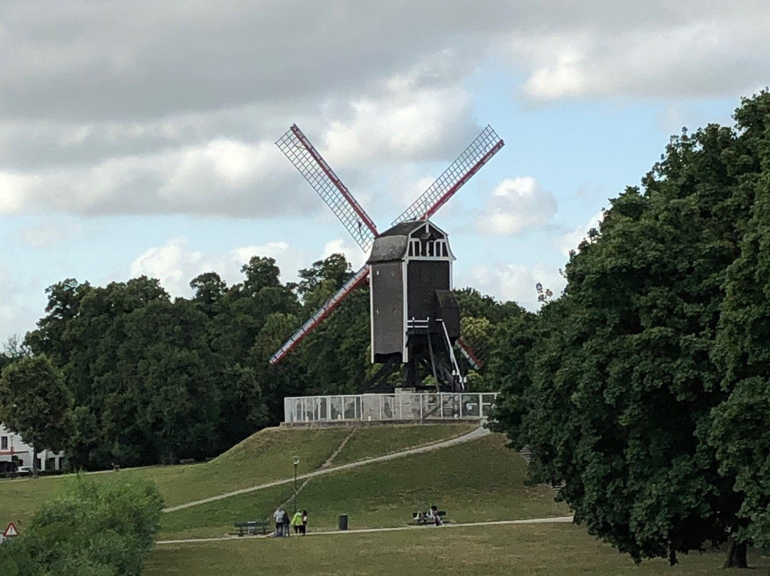 Windmills of Bruges景点图片