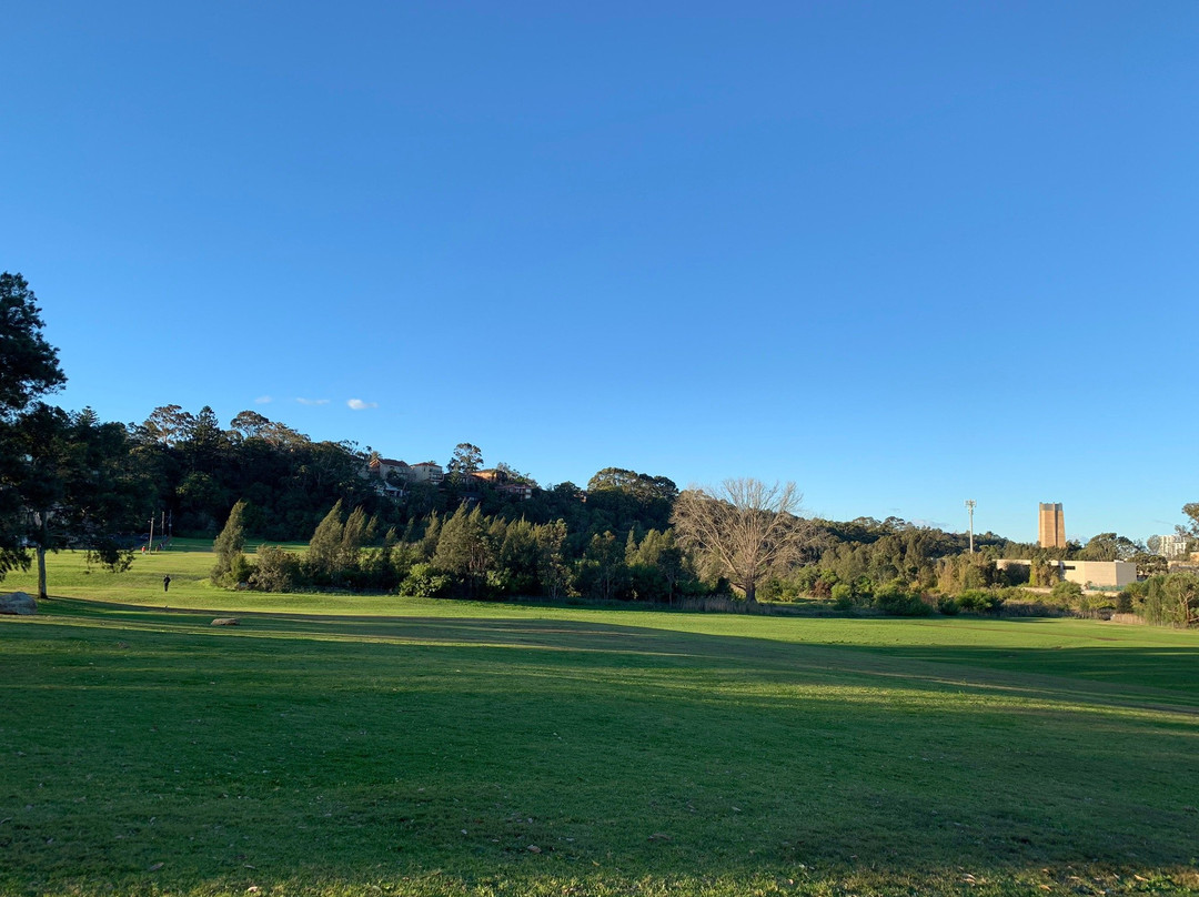 Wolli Creek Walking Track景点图片