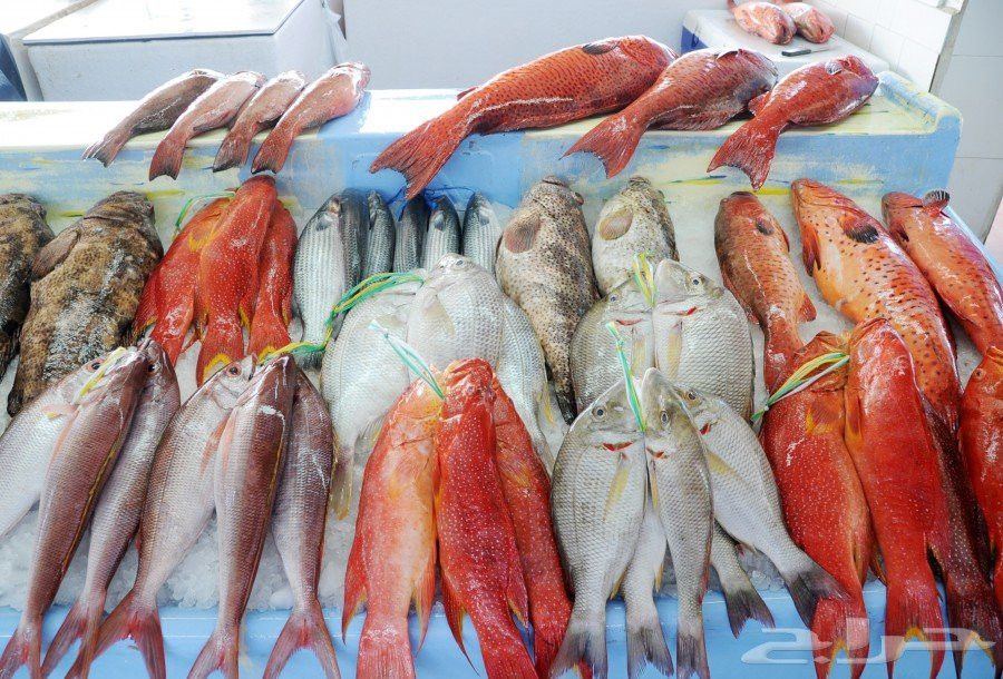 Central Fish Market景点图片
